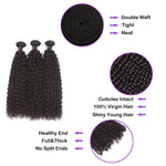 Kinky Curly Virgin Human Hair Natural Black Bundles